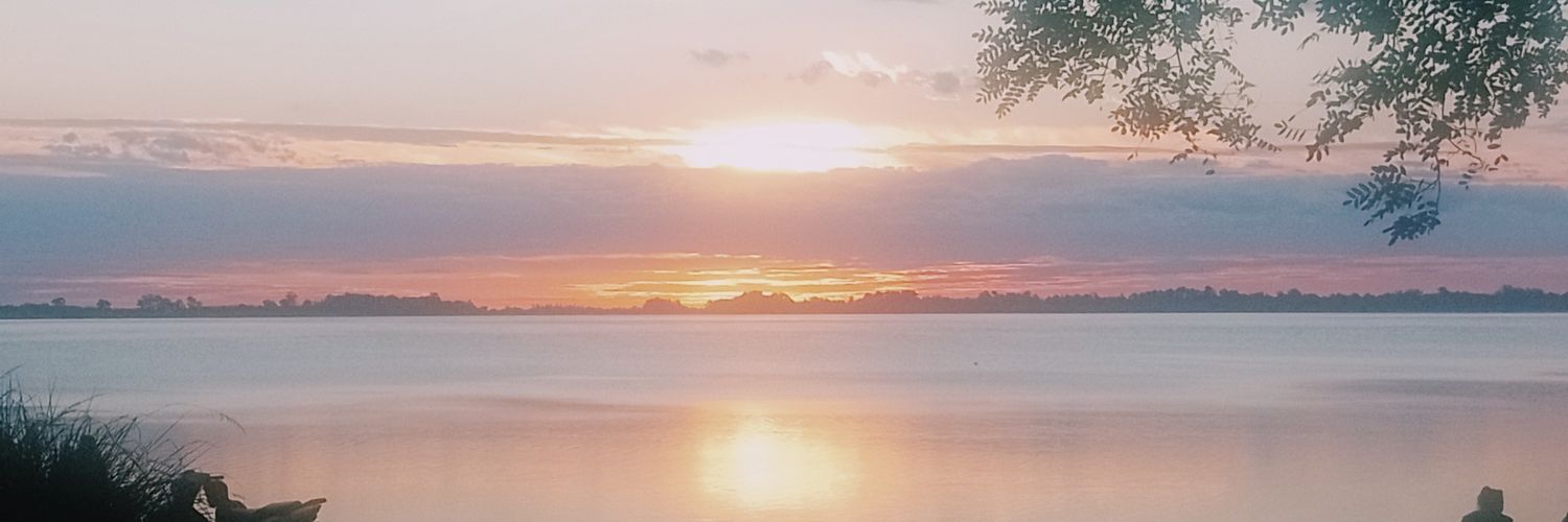 Matuteontherock's profile banner image