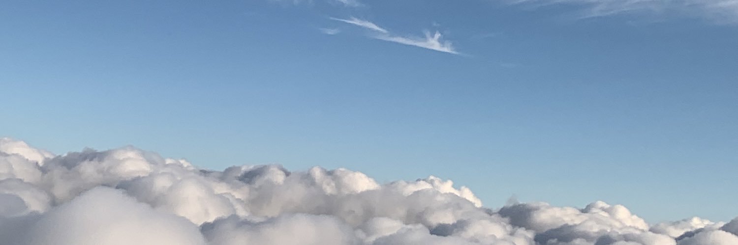 Sonya Aldridge🇺🇸 banner