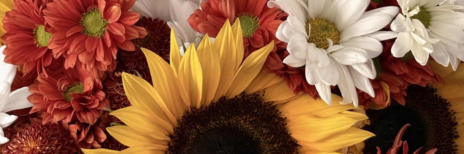carmesy_'s profile banner image