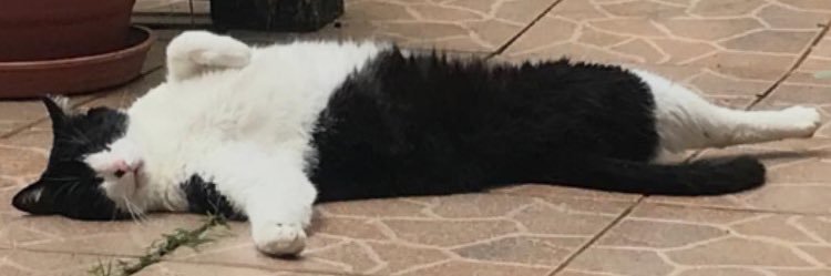 batnique's profile banner image