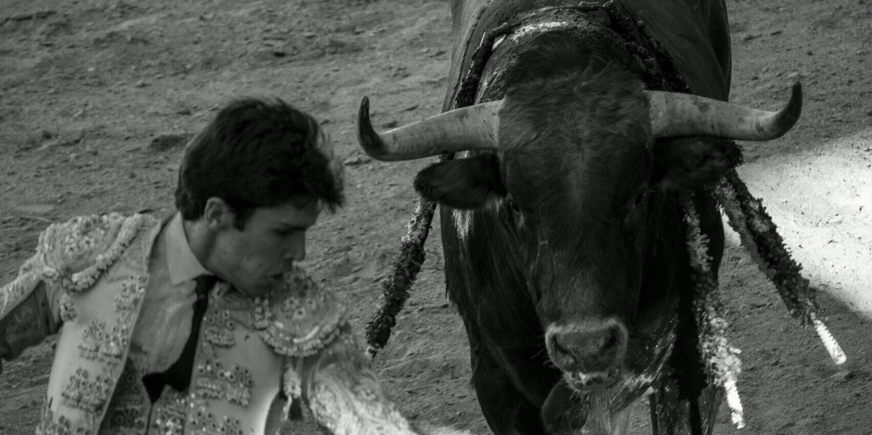 Alejandro Pavon Hato banner