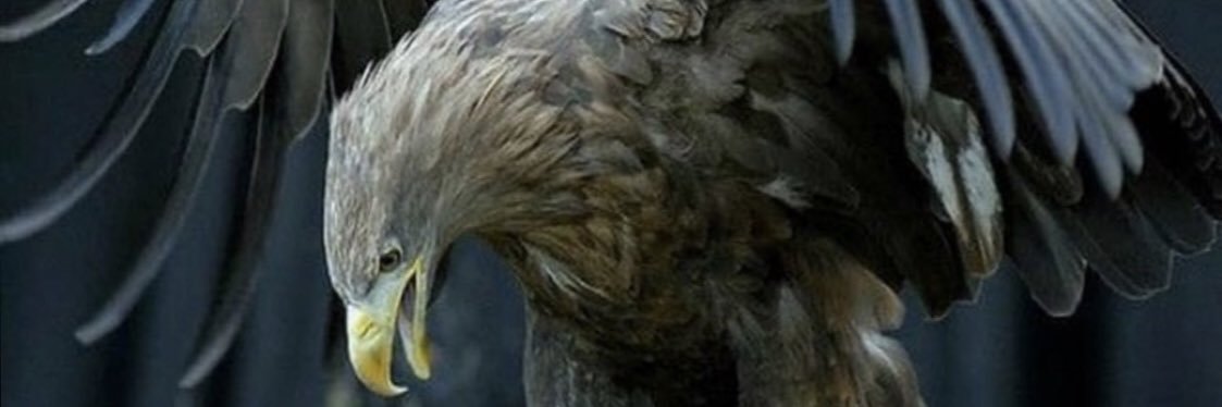 bulent7ses's profile banner image