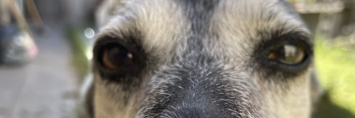 Julimoroy's profile banner image