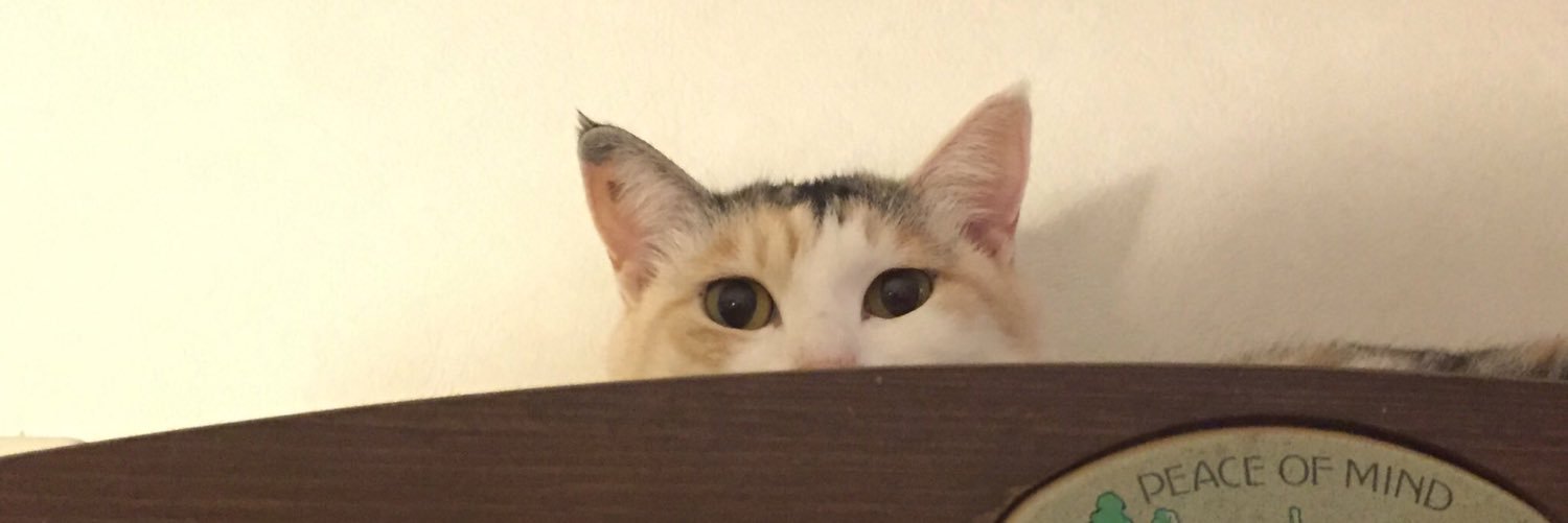 iimutti's profile banner image