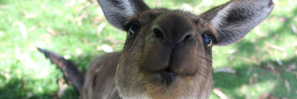 Anika44's profile banner image