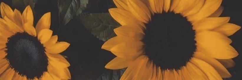 VianysRodriguez's profile banner image