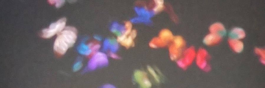 Anyelizmaree's profile banner image
