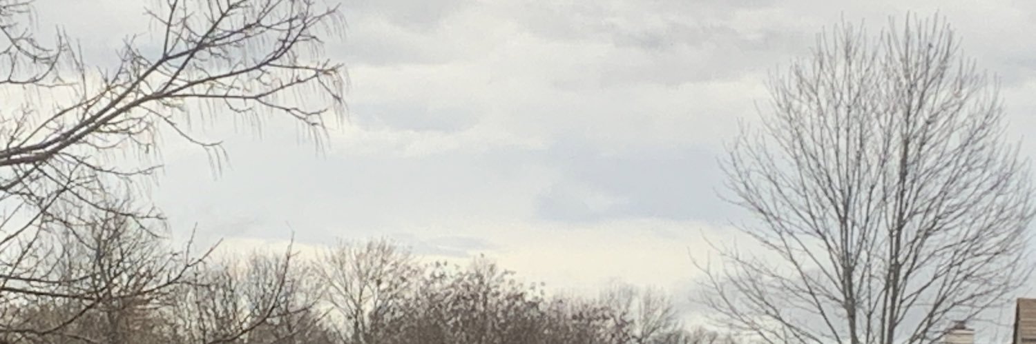 MommaBearDess's profile banner image