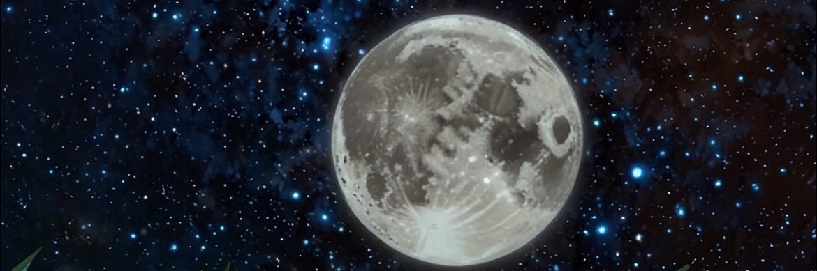 ___MallyMal's profile banner image