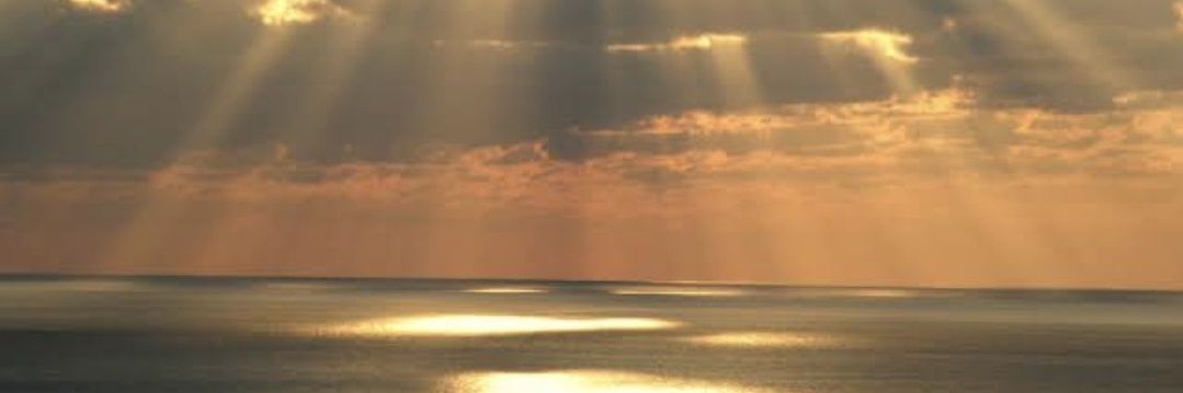 Luciana banner