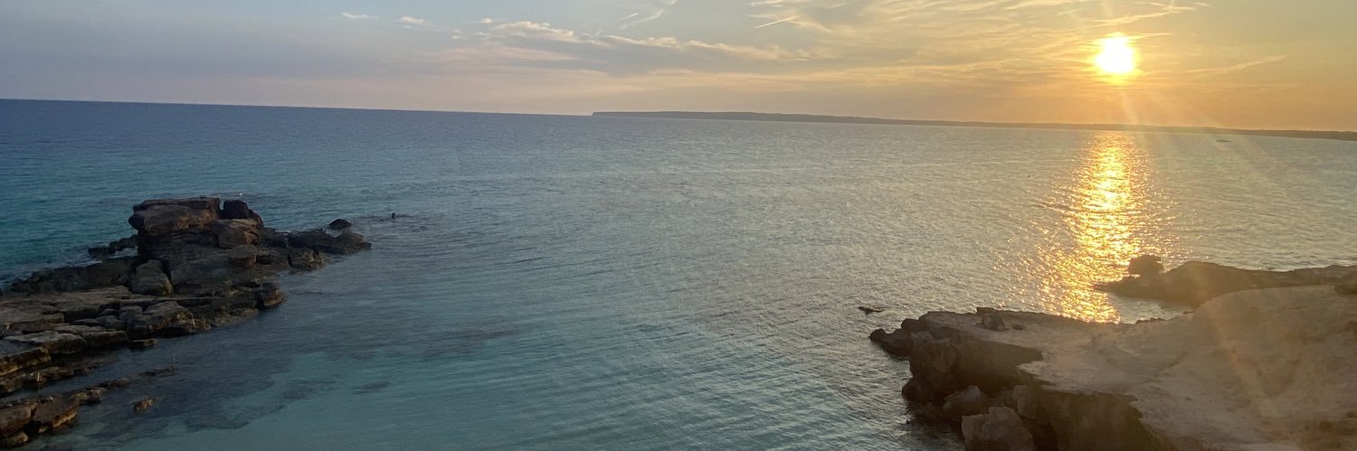 dani_rch's profile banner image