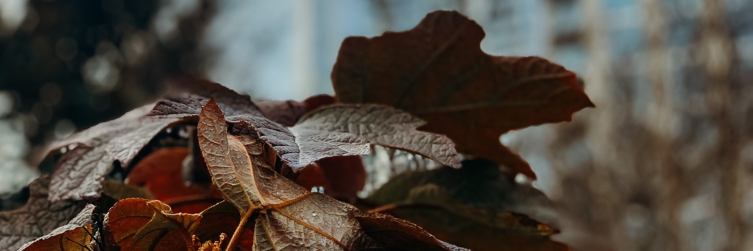 Kristina_Pod's profile banner image