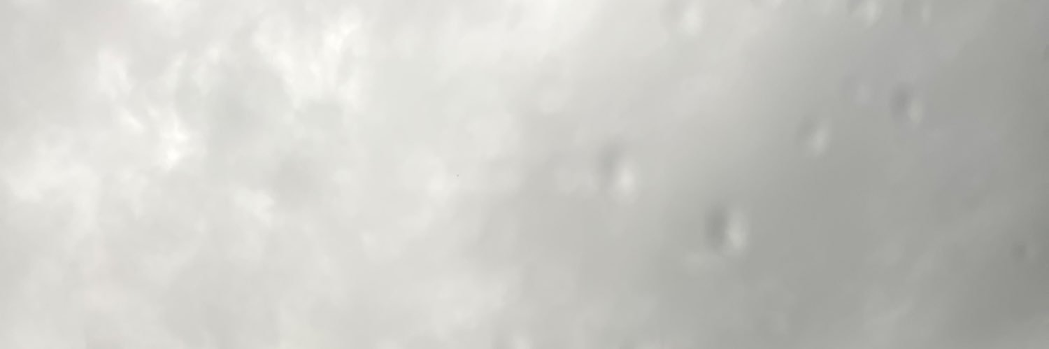 Woooki3s's profile banner image