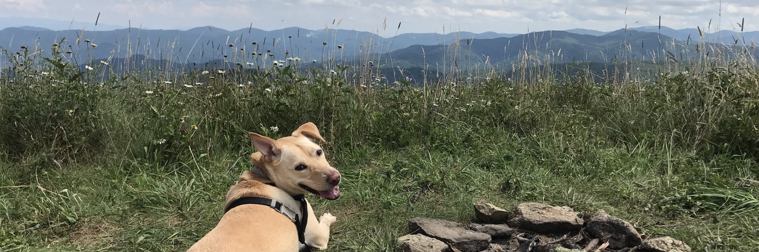 AndrewJamesNews's profile banner image