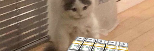 Comfy4ever.5mbk banner