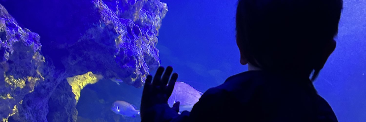 eve9_Es's profile banner image