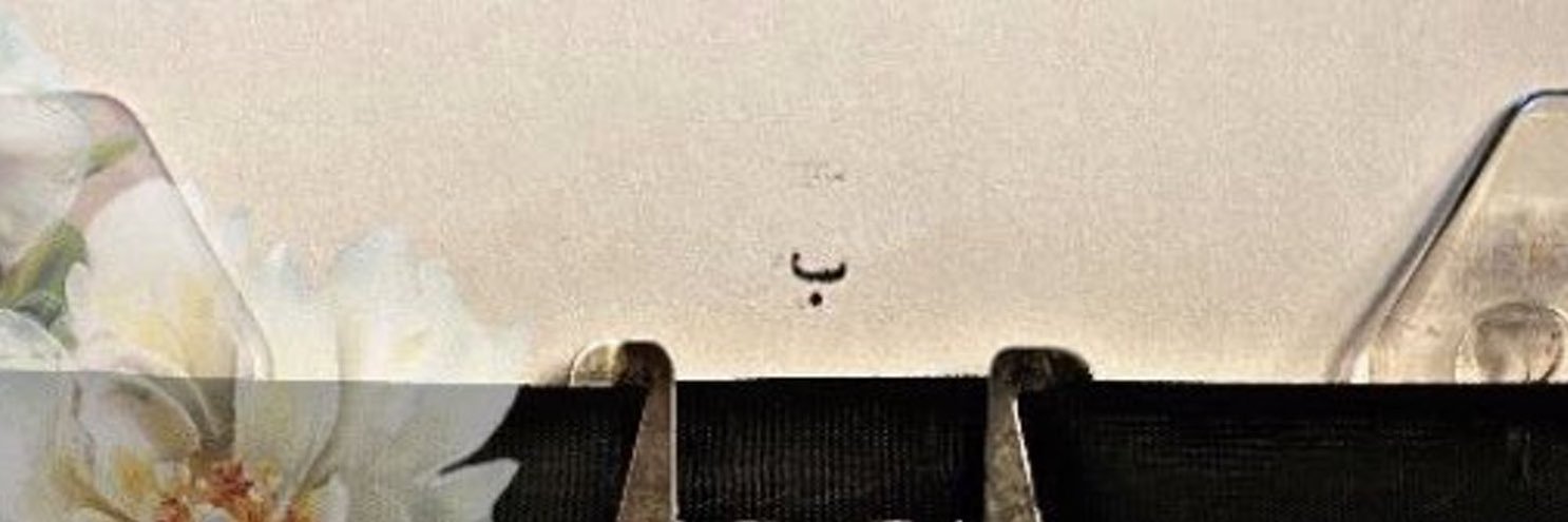 Allpha0's profile banner image