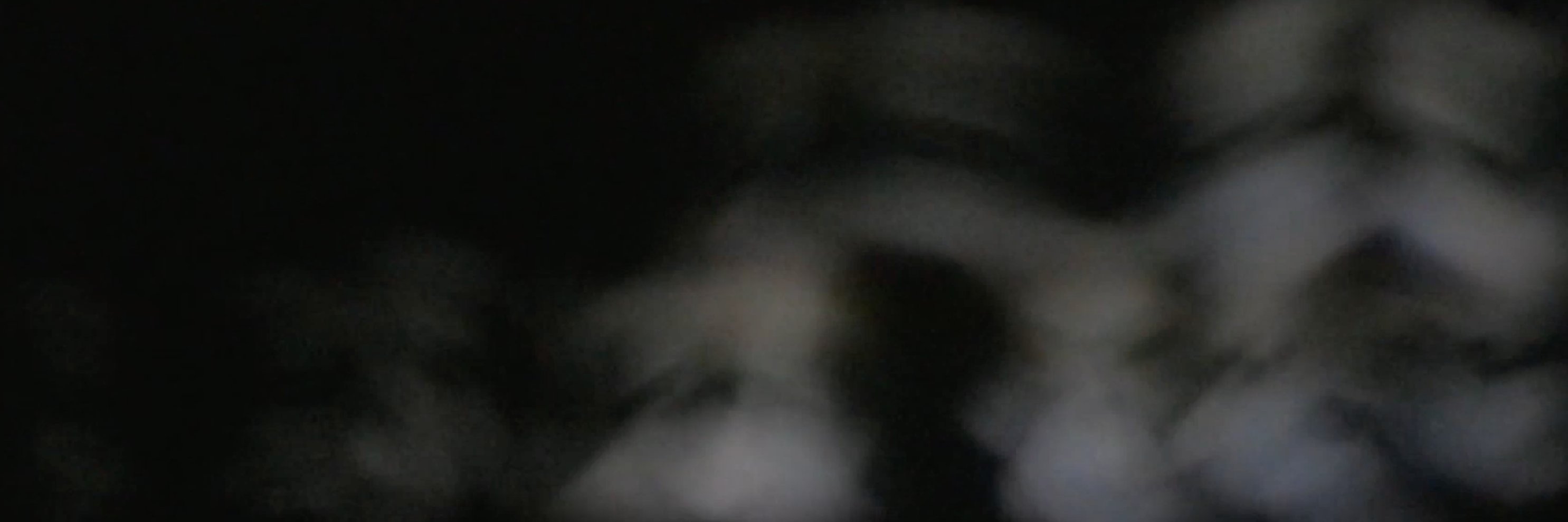 dumpster_bebe's profile banner image