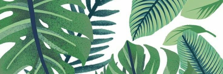MithaqulR's profile banner image
