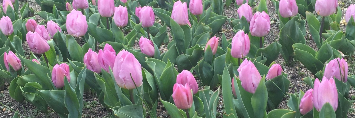 Kelly 💕💁🏻🐋 banner