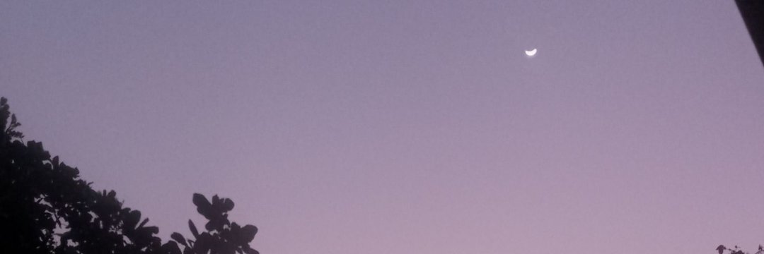 deehdiones's profile banner image