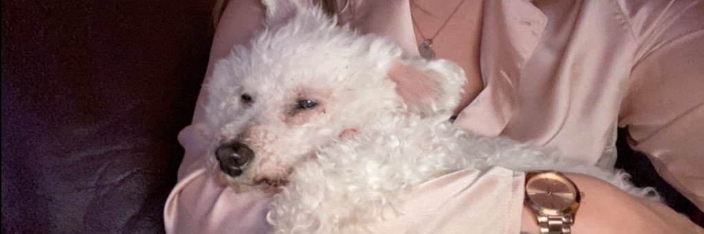 chloee_young's profile banner image