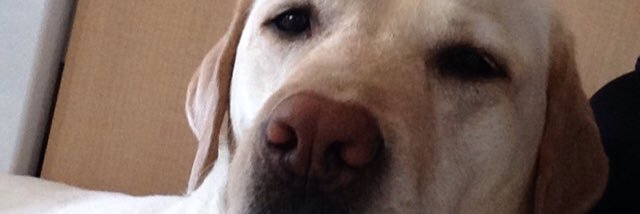 madisonstratt's profile banner image