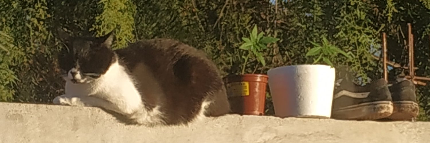 Oscaar_________'s profile banner image