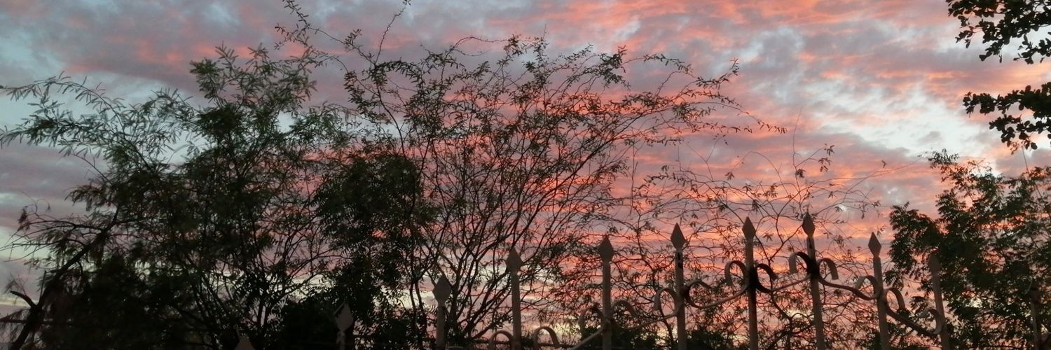 DanielGranillo's profile banner image