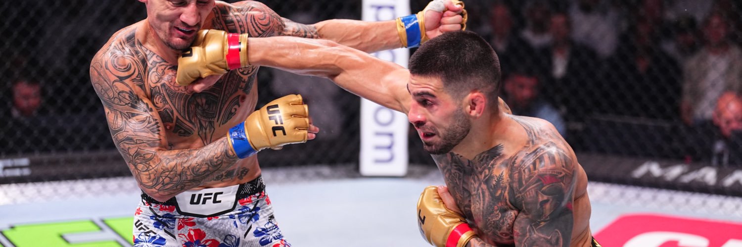 MMA Realist banner