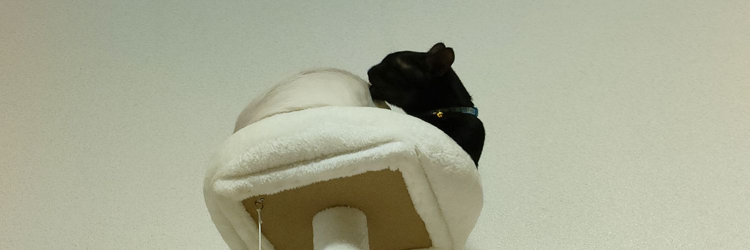 nek_oumi's profile banner image