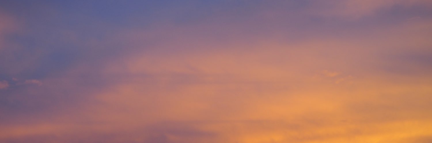 workawhorlic's profile banner image