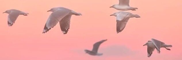 vrt91's profile banner image