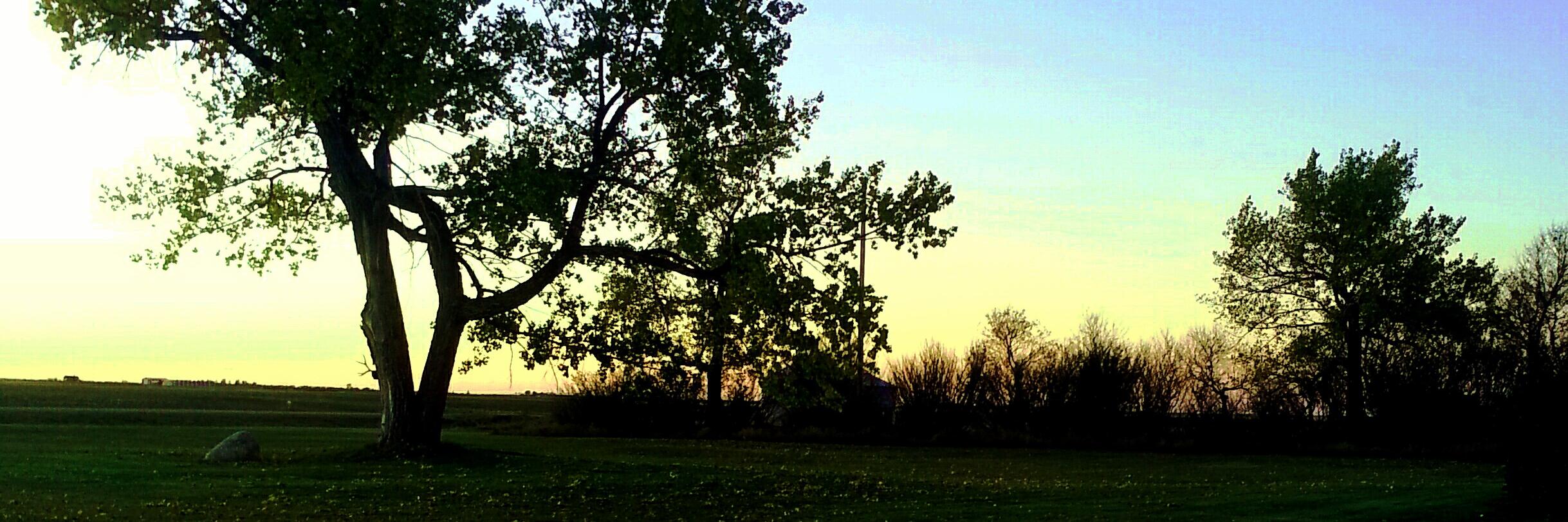lisajaws77's profile banner image