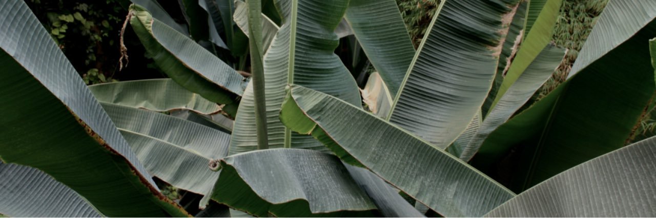 SHAWNLEMIC's profile banner image