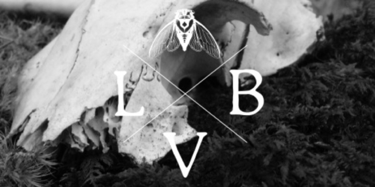 LadyVonBlack's profile banner image
