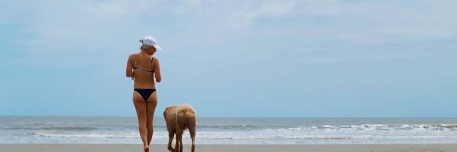 dallasteal's profile banner image