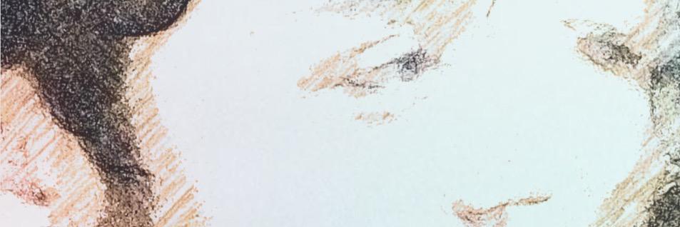 DaniBachur2's profile banner image