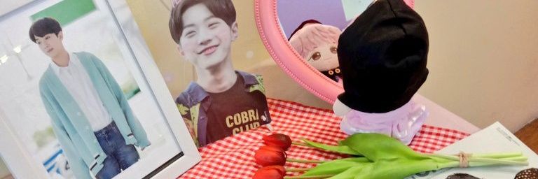MP🍡 banner