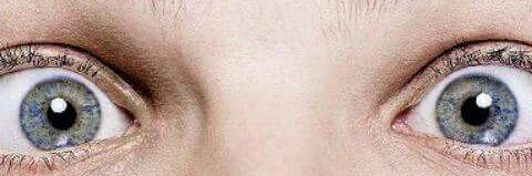 lovatic_lou's profile banner image