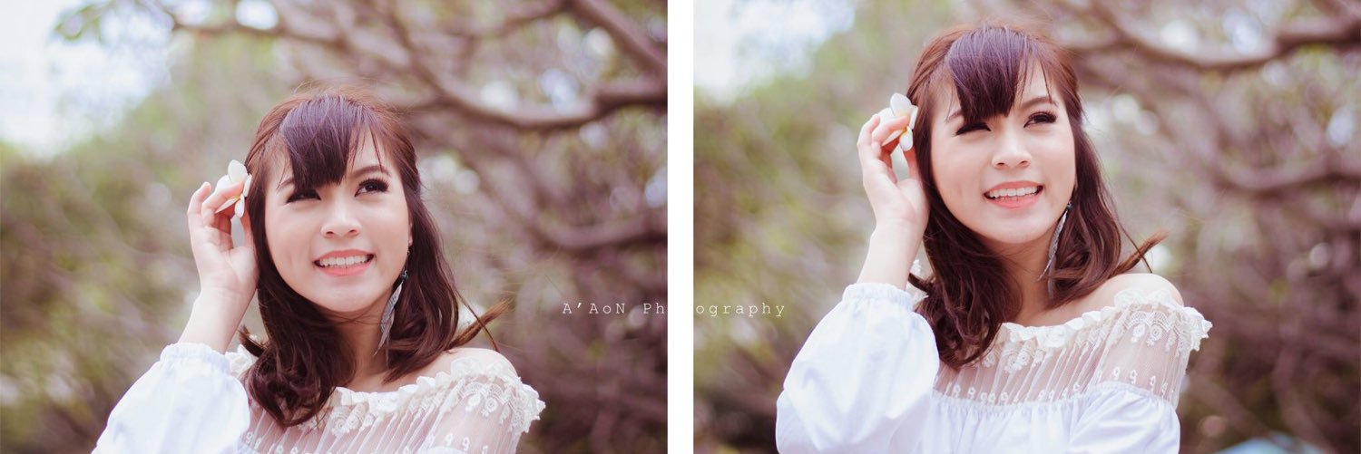 pp_panninbot's profile banner image