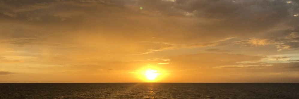 MrTCrane's profile banner image