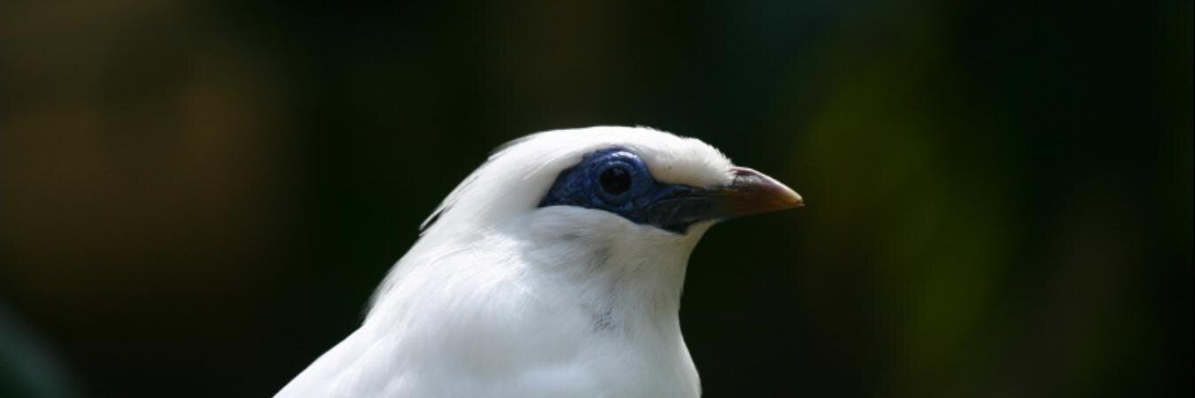 todove's profile banner image