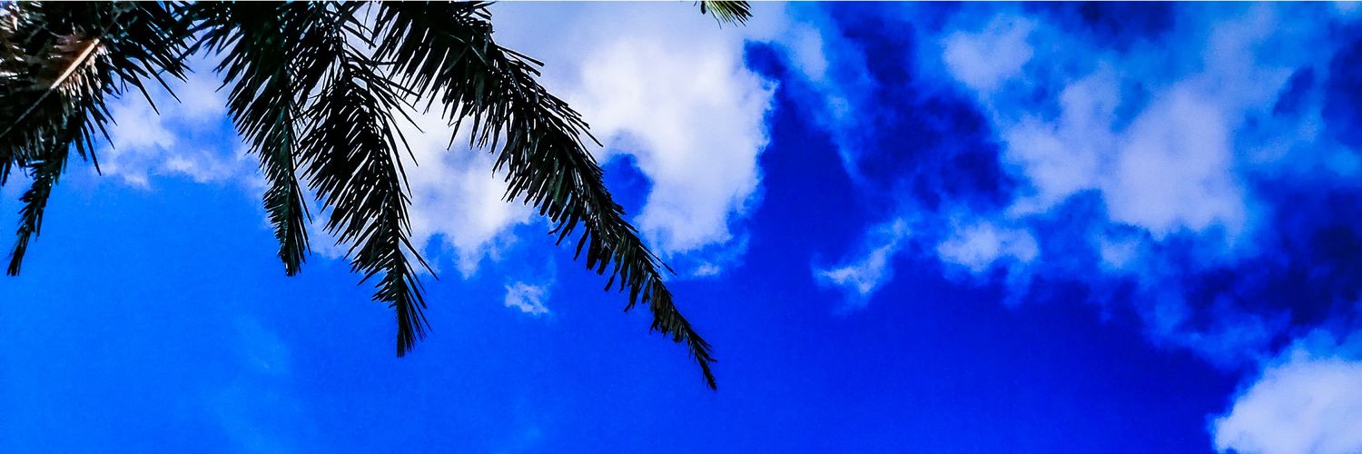 NandoVidal10's profile banner image