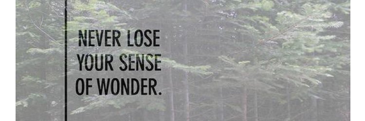 SydneyGrendow's profile banner image