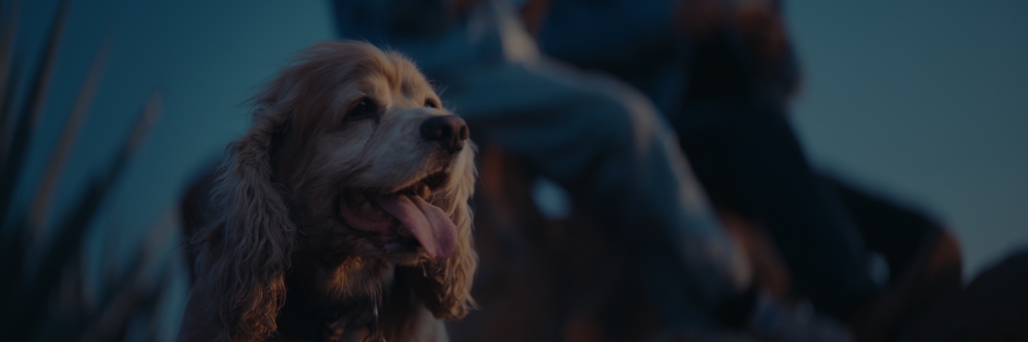 gerrymtz's profile banner image