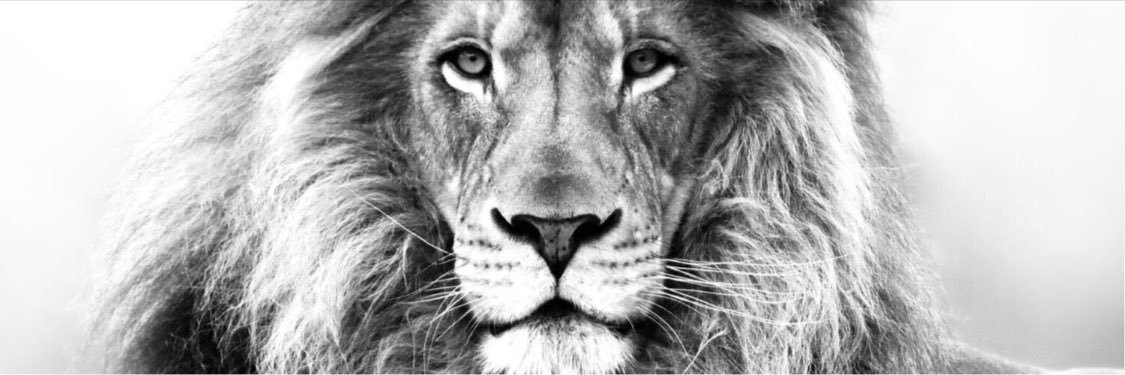 Jazzy♌️🦁 banner
