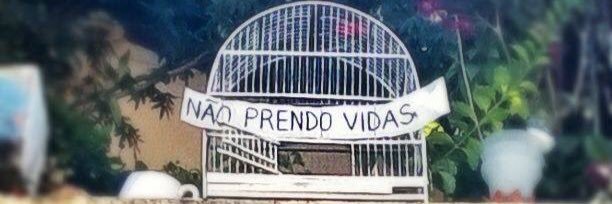 vixe_marules's profile banner image