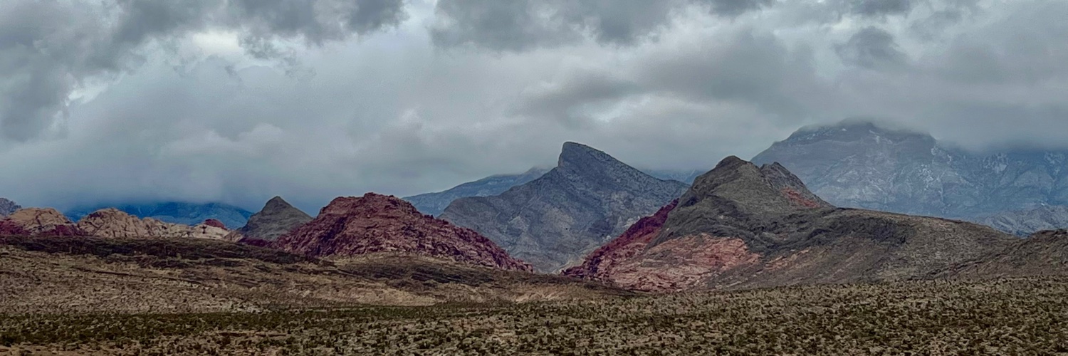 Rainer Streit banner