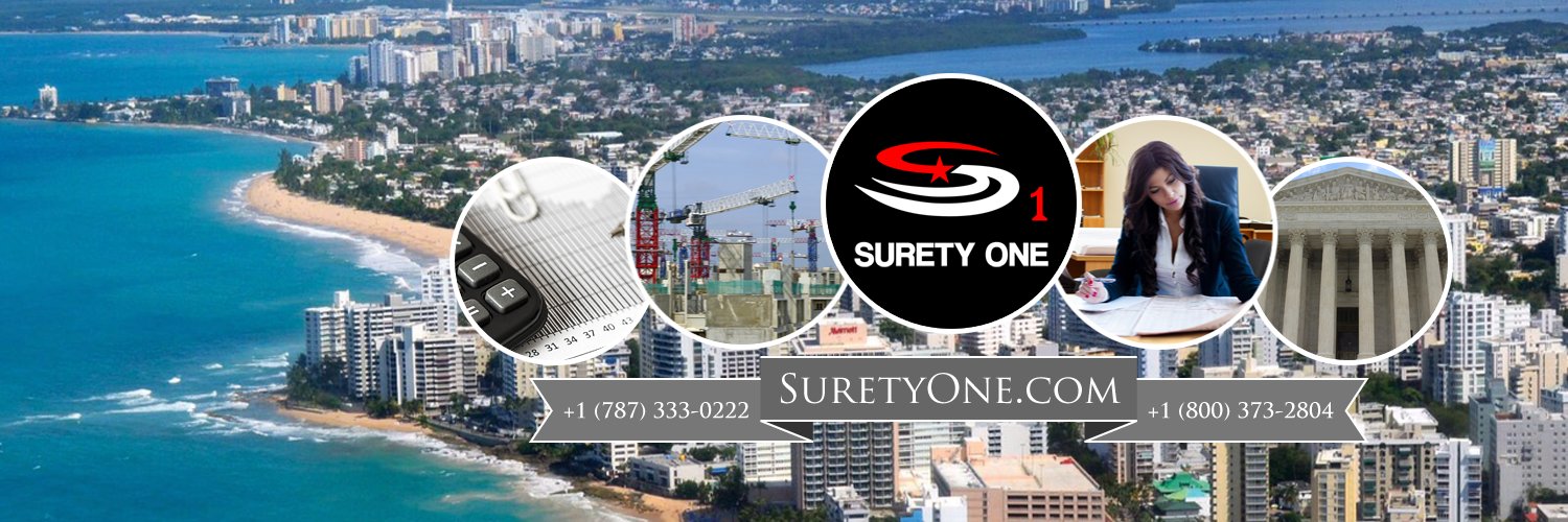 Surety One, Inc. banner